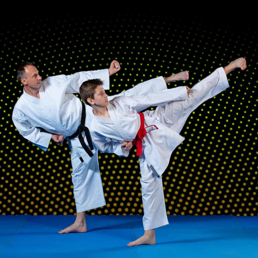 Martial Arts Lessons for Families in Bolingbrook IL - Dad and Son High Kick