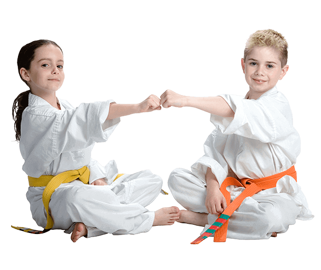 Martial Arts Lessons for Kids in Bolingbrook IL - Kids Greeting Happy Footer Banner