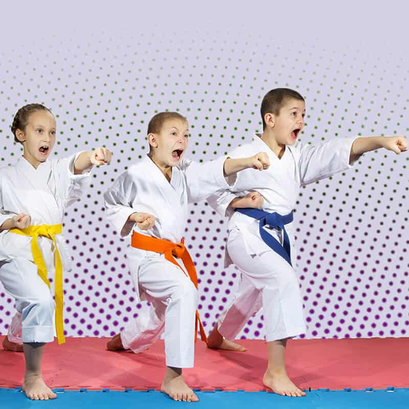 Martial Arts Lessons for Kids in Bolingbrook IL - Punching Focus Kids Sync