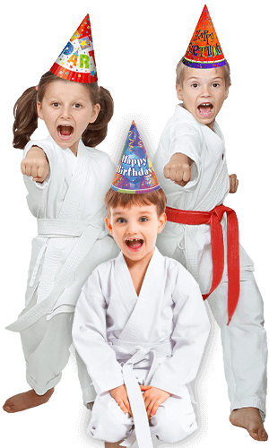 Martial Arts Birthday Party for Kids in Bolingbrook IL - Birthday Punches Page Banner