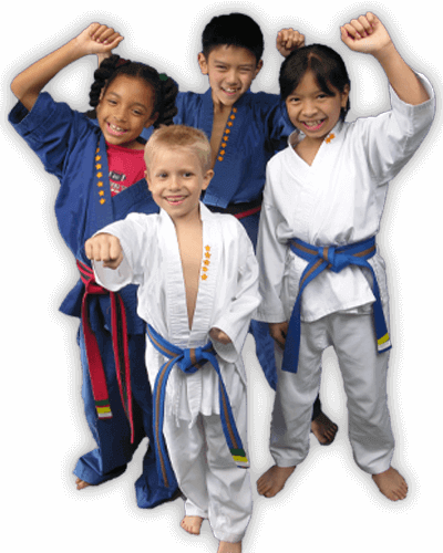 Martial Arts Summer Camp for Kids in Bolingbrook IL - Happy Group of Kids Banner Summer Camp Page